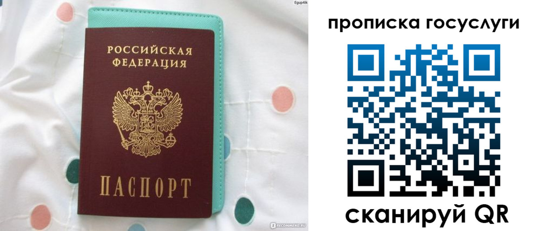 прописка поиск в Георгиевске